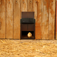 ไก่อัตโนมัติ Coop ประตู Light SENSOR ประตูบ้านไก่คุณภาพสูงฟาร์มไก่สัตว์เลี้ยงเป็ดกรงประตูตกแต่งฟาร์ม.
