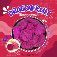 BUAH NAGA KERING (BUAH NAGA) CRISPY RANGUP FREEZE DRIED