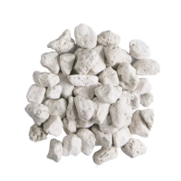 【蔬菜之家】火山石白色蘭石原裝包40-50公升-特大粒15-25mm(透氣石 鋪面石 通氣保水)