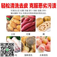 土豆毛輥清洗去皮機商用全自動豬蹄洋芋紅薯蘿卜蓮藕生姜脫皮機