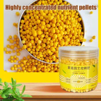Universal Plant Fertilizer 120 Days Controlled Release Flower Granule Plant Food Organic Plant Food Nutritious For Indoor Plants