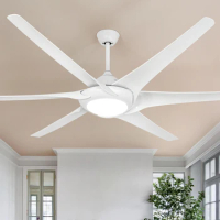 Depuley Ceiling Fan with Lights 80 Inch Modern Ceiling Fan 24W Low Profile Dimmable Ceiling Fans with 5-Speed for Living Room