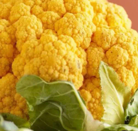 Huang Guifei cauliflower seeds, organic cauliflower seeds, green, yellow and purple cauliflower seed