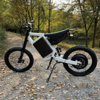 Motorcycle Lithium Battery Aluminum Alloy Frame High Speed Super Power Climbing Bike City Bike
