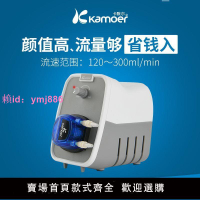 卡默爾實驗蠕動泵 智能小型變頻直流電動靜音循環泵抽水泵24V水泵