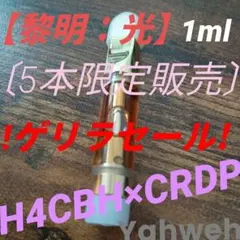 h4cbhの価格比較なら-2025年10月 | BigGo日本