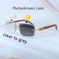 Iced Out Photochromic Lenses 4 Season Glasses Two Colors Sunglasses Luxury Carter Color Change Rhinestones Wood Sun Glasses