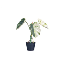 2022 New Coming PU Leaves Artificial Variegated Monstera Potted Plants Wholesale