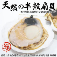 【海肉管家】生鮮半殼扇貝x3包(每包500g±10%)