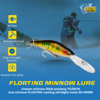 PROBEROS umpan minnow lidah panjang 7G/10CM lure minnow FLOATING casting ultralight mata 3D MN190