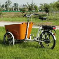 3 Wheel Family Electric Cargo Bike Reverse Trike for Factory Direct Sale