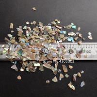 100g/lot Natural Crushed Abalone Shell Mother of Pearl shell for DIY Jewelry natural MOP Pearl shell scraps for fake nails