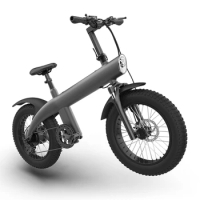Fat Tire Bike 20-inch 7-speed mountain bike 48V750W beach Snow Bike Adult electric bike Cruiser electric bike