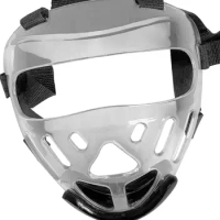 Taekwondo Face Mask Kids Taekwondo Face Shield Detachable Face Protection Cover Clear Face Guard Protective for Boxing Sparring