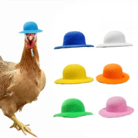 Cute Chicken Helmet Funny Printing Small Pet Sun Rain Protection Cap Hens Bird Duck Quail Hard Hat Pet Headgear Supplies Toy New