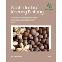Kacang Sacha Inchi Kering 1kg 1/2kg Organik Alami