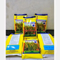 Primasid 4KG BENIH PADI MAPAN P05 BERKULITAS ORIGINAL Tahan Tekstur Nasi Pulen Kadar Amilosa 23,48% 
