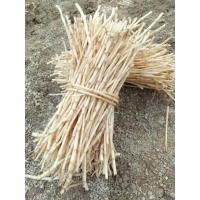 Akar Alang - Alang  obat Panas Akar Alang Alang Segar Fresh