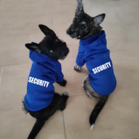 DLGIFJIE Saiz S–9XL Baju hoodie anjing musim luruh dan musim sejuk, diperbuat daripada bahan gebu ya
