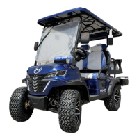 Customized Lifted CE Certificate Electric Golf Car 2 4 6 8 Seat With Utility Box And Audio System Electric Golf Cart