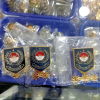 Pin Kemendagri kantong /dada