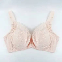 The Brahouse Bra Full Cup B01-1722D - Cup D 38D/085 Ric