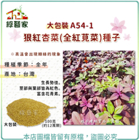【綠藝家】大包裝A54-1.狠紅杏菜(全紅莧菜)種子100克(約12萬顆)