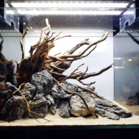 Natural Driftwood Cave Hideouts FishTank Decorations for Aquarium Terrarium Shrimp Hideouts Assorted Ornament