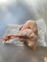 ayam merah frozen JUMBO TANPA JEROAN minimal berat uk 1.6kg utuh/ayam murah/ayam potong/ayam merah