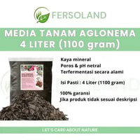 Media tanam aglonema 4L | media tanam aglaonema red peacock widuri siap pakai | media tanam fermenta
