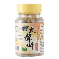 【Sheng Wen梁時】大聲叫喉爽錠(60粒/罐 喉糖 爽聲潤喉 羅漢果 無糖草本)