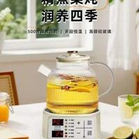 全玻璃多功能花茶壺配電陶爐辦公室煮茶小型養生杯家用養生壺燒水