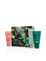 ชุดเช็ตของขวัญ AVEDA Mini Miracles Masque Trio Gift Set