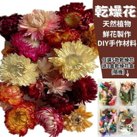 【A-ONE】麥桿菊花 乾燥花材 DIY材料包 乾燥花盒 花藝材料包 永生花工具 不凋花 乾花 拍照 A15