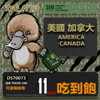 【鴨嘴獸 旅遊網卡】Travel Sim 美國 加拿大 11日 吃到飽上網卡 旅遊卡(美國 加拿大 上網卡)