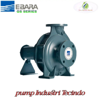 POMPA EBARA  GS32-250 2\x1\" EBARA GS END SUCTION VOLUTE PUMP"