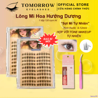 laeou99 Mi Giả TOMORROW, Mi HOA HƯỚNG DƯƠNG Mi Cụm,Mi Chùm, Mi Douyin Trang điểm cho mắt kích thước 