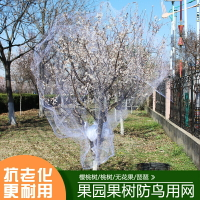 果樹防鳥網 防鳥罩 攔鳥網 果樹防鳥網罩無花果櫻桃網防鳥用的網果園尼龍紗網防護罩葡萄蔬菜『wl11012』