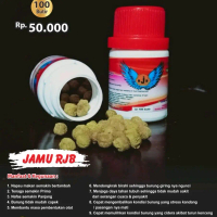 Rjb jamu rjb jamu merpati jamu giring jamu burung dara