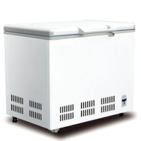 Horizontal Commercial Changeable Chest Freezer