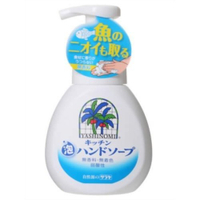 日本【SARAYA】椰子廚房洗手乳200ml