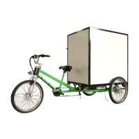 Family Use 3 Wheel Electric Cargo Bike Cheap Tricycle Adult