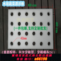 【台灣公司 可開發票】魚菜共生全套水培漂浮板設備泡沫板蔬菜水稻浮床水上種植漂浮板