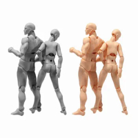 SH.Figuarts BODY KUN BODY CHAN PVC Action Figure Model Anime Archetype Ferrite Figma Movable Miniatures Toy Doll For Collectible
