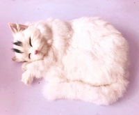 動物模型 仿真貓 皮毛睡貓黑貓白貓攝影道具玩具園林場景家居擺件