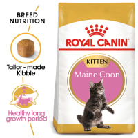 Royal Canin 400 Gr Makanan Kucing Kering Kitten British Shorthair