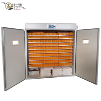 免運/熱銷 小雞 孵化器 智能家用小型孵蛋器 大型全自動恒溫孵化機