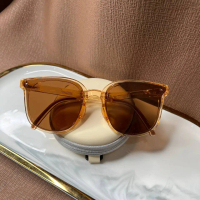 SUNGLASSES POLARIZED FOLDING 8998