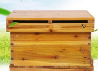 浸煮蠟蜜蜂中蜂蜂箱專用杉木標準平箱全套意蜂密養蜂工具 DF 維多原創　免運