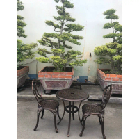 Bộ bàn ghế nhôm đúc, bàn ghế ngoài trời (1 bàn 2 ghế) Linh lan decor